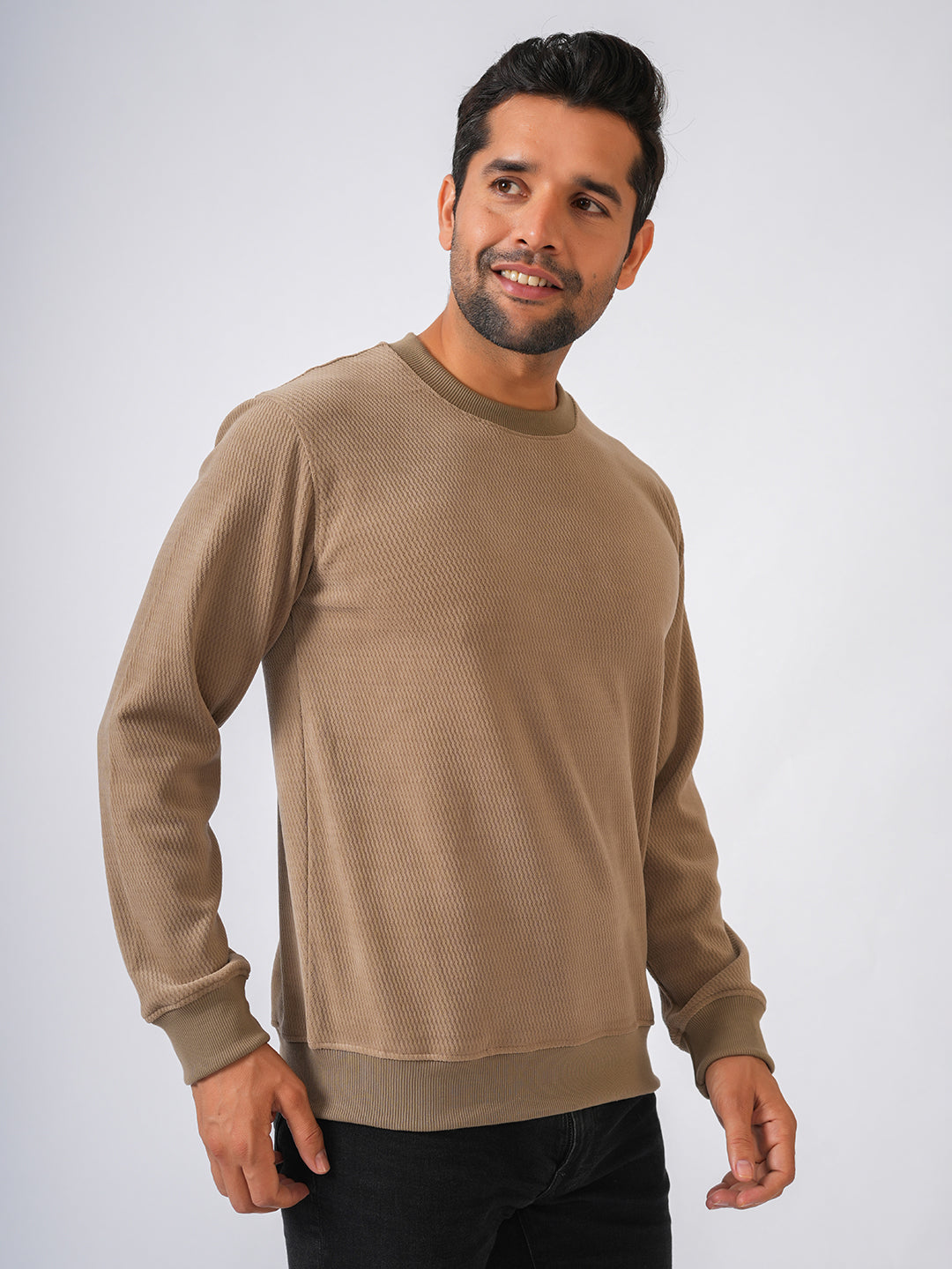 Fawn Solid textured Sweat Knit Pullover-Sweater